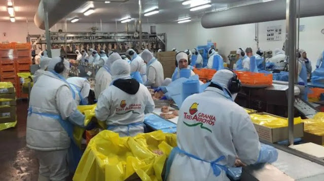 Granja Tres Arroyos en crisis: podría despedir a 450 trabajadores en marzo