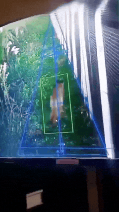 Pánico por la aparición de un puma silvestre en un barrio privado de Hudson