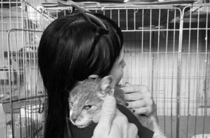 adopciones quilmes