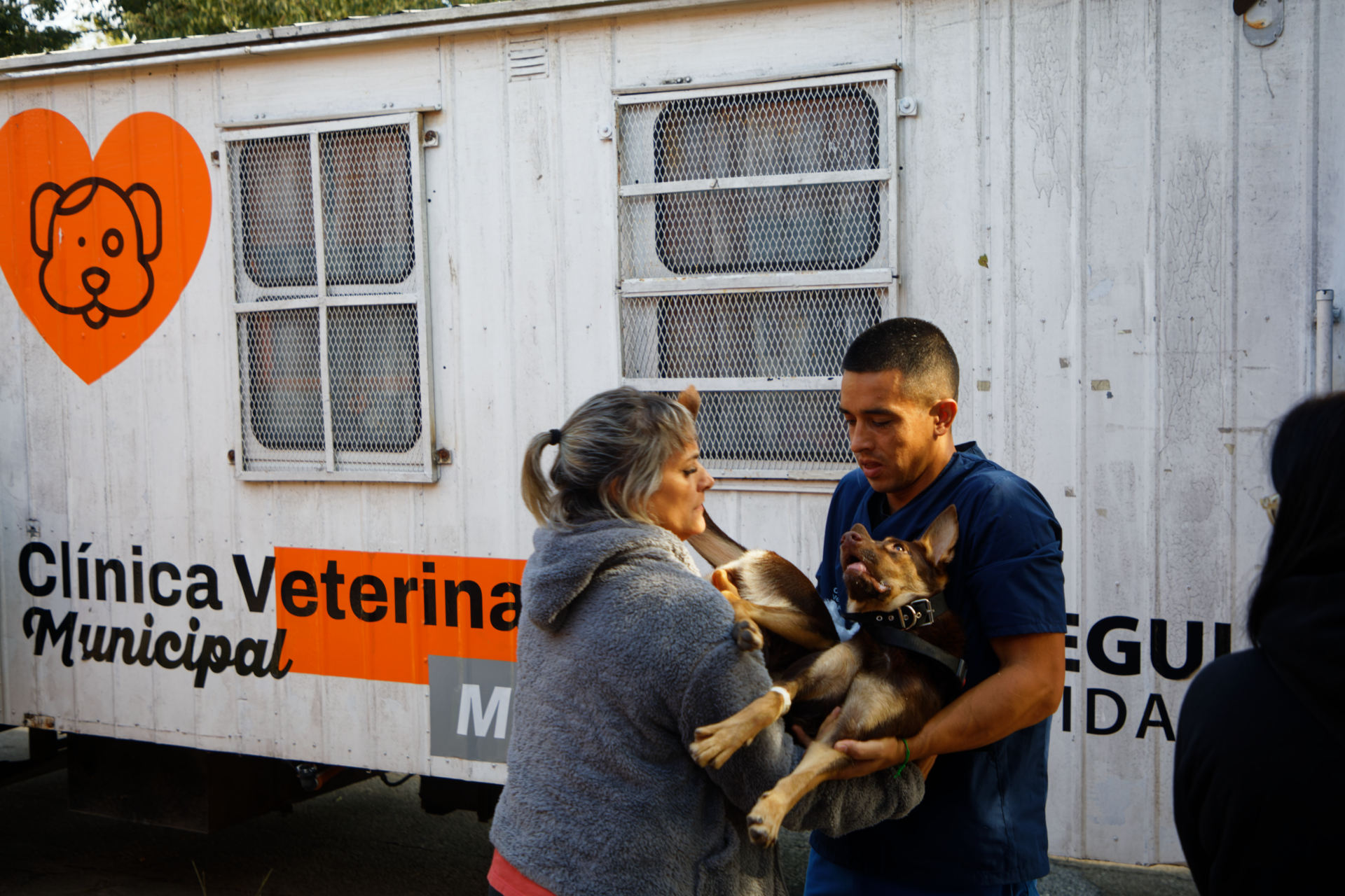 Berazategui: Jornada gratuita de salud animal en San Juan