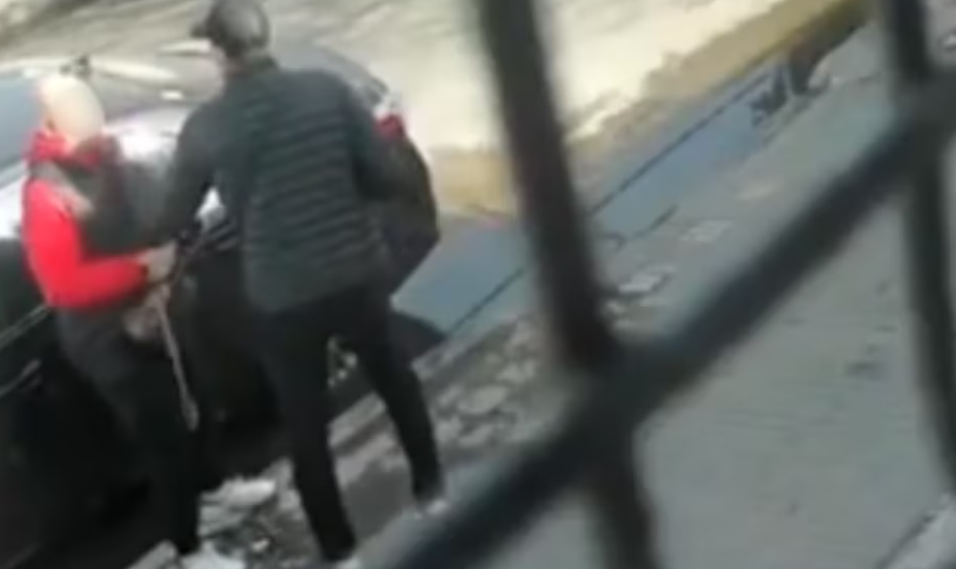 policía Gerli