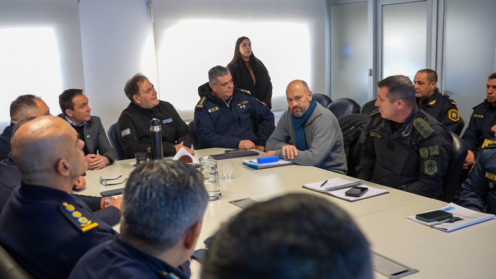 watson seguridad